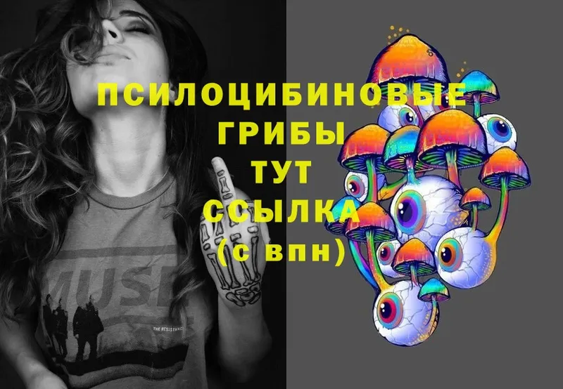 Псилоцибиновые грибы MAGIC MUSHROOMS  Каспийск 